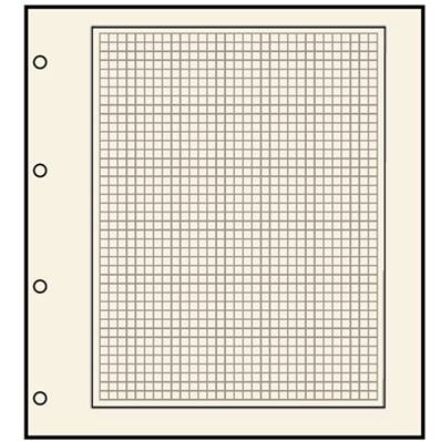 10 feuilles neutres quadrillées chamois avec perforation  Safe 491