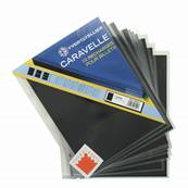 10 feuilles caravelle 1 poche Yvert et Tellier 26021