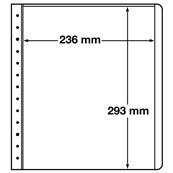 10 Feuilles à 1 bande elargie LBSH Leuchtturm 314287