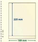 10 feuilles neutres LINDNER T 802104P