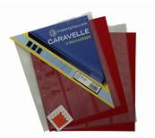 2 feuilles caravelle pour monnaies 60 cases de 22 mm Yvert et Tellier 2505